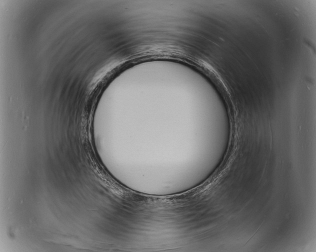 X0000101691019200807101203