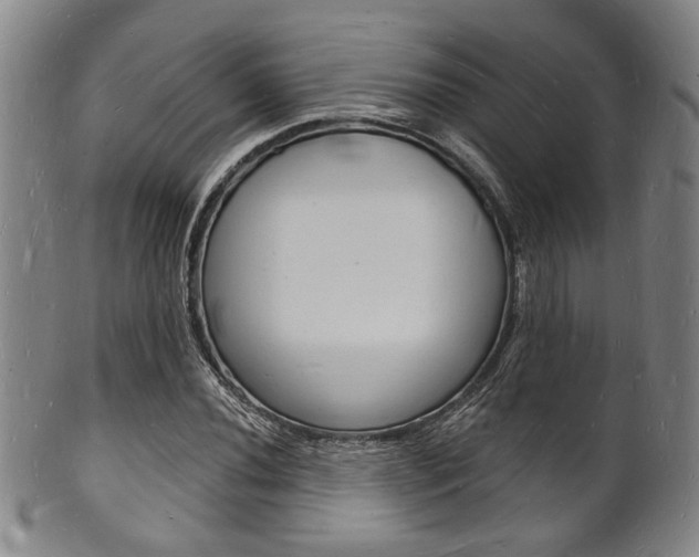 X0000101691020200807101203