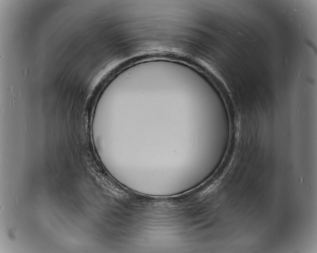 X0000101691021200807101203