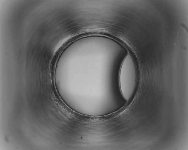 X0000101691022200807101203