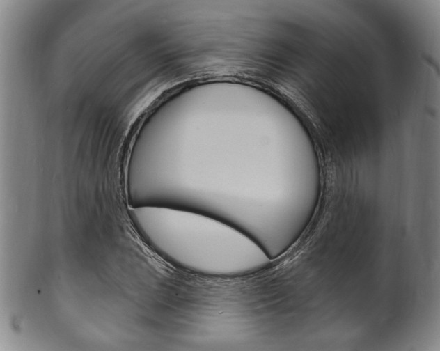 X0000101691023200807101203
