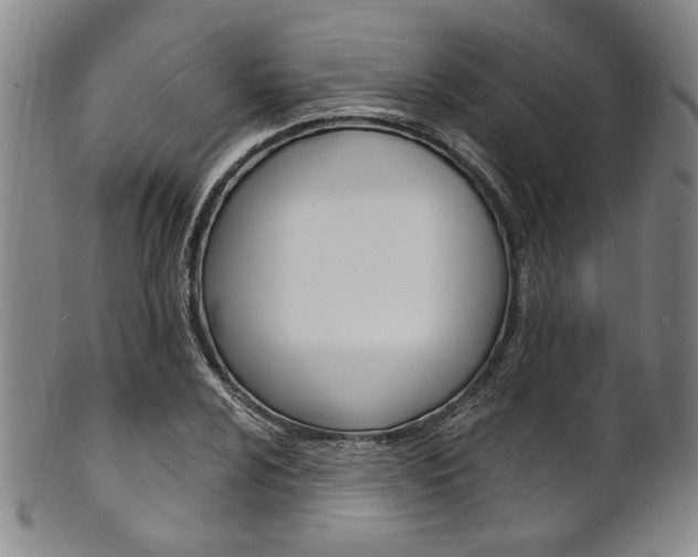X0000101691024200807101203