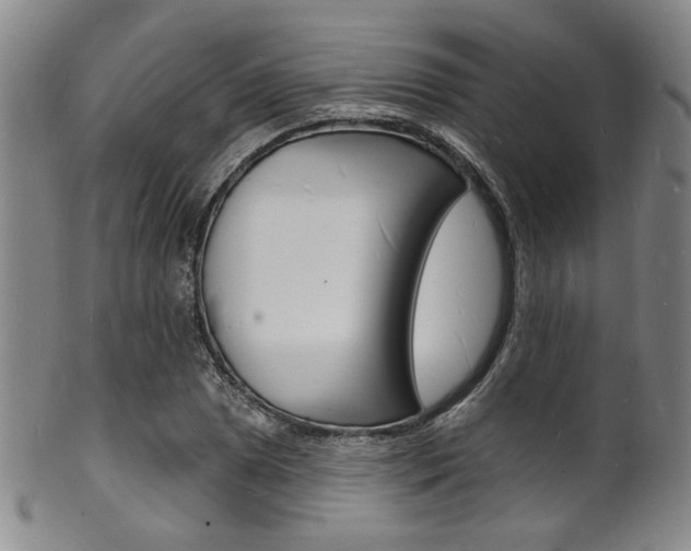 X0000101691025200807101203