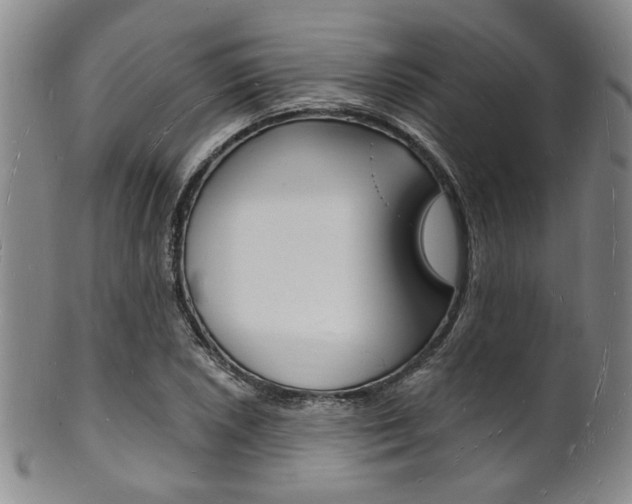 X0000101691026200807101203