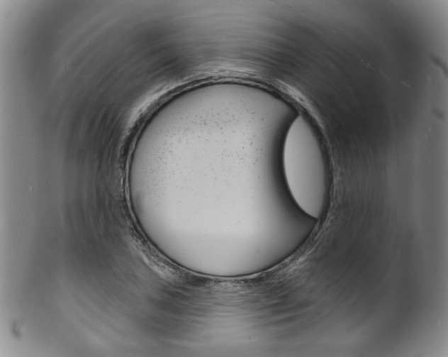 X0000101691027200807101203