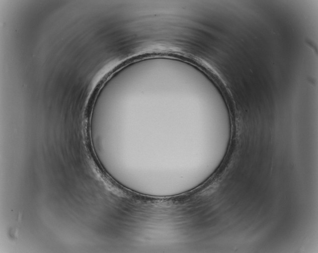 X0000101691029200807101203