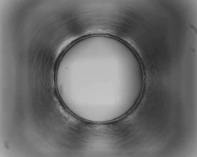 X0000101691030200807101203