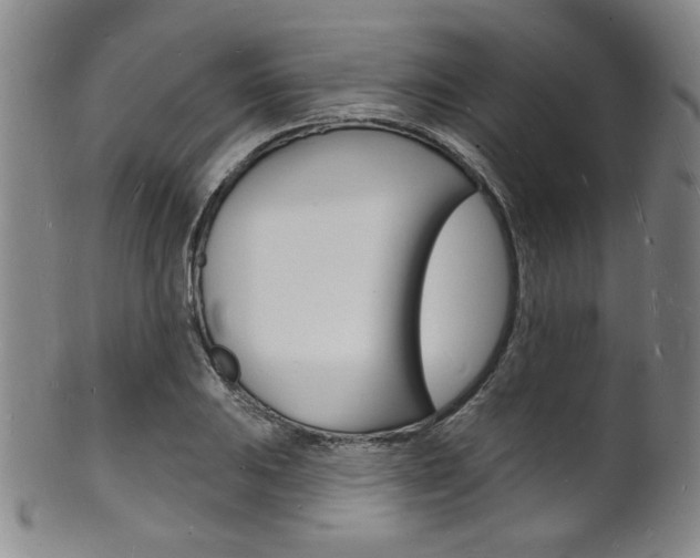 X0000101691031200807101203
