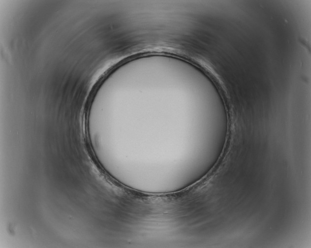 X0000101691032200807101203