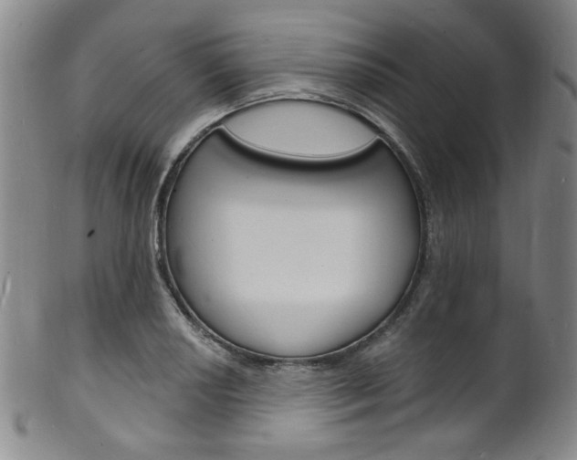 X0000101691034200807101203