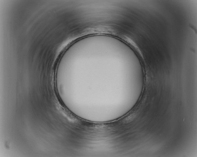 X0000101691035200807101203