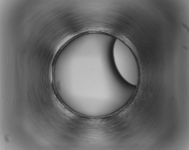 X0000101691036200807101203