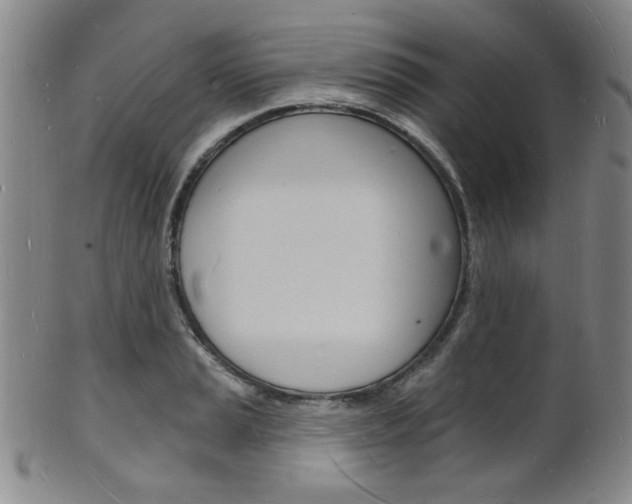 X0000101691037200807101203