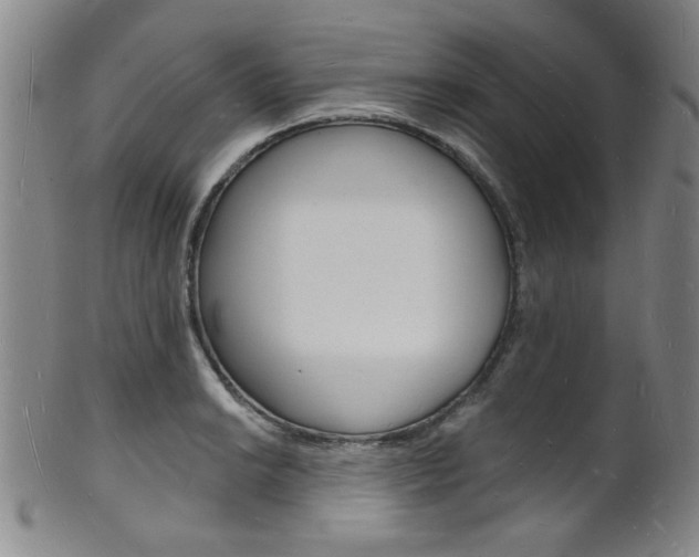 X0000101691038200807101203