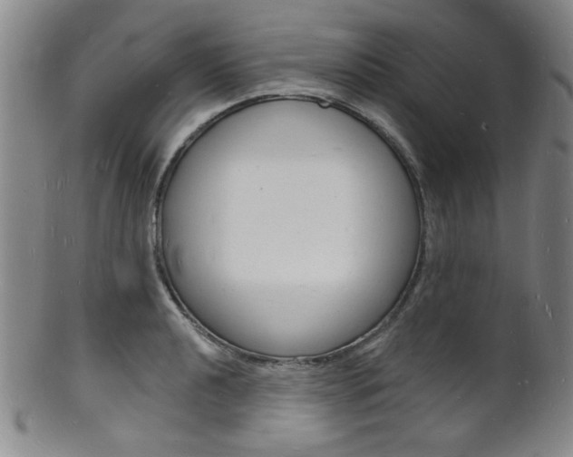 X0000101691040200807101203