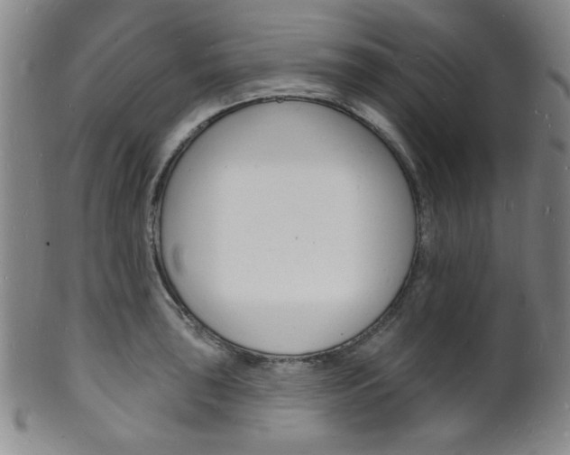 X0000101691043200807101203