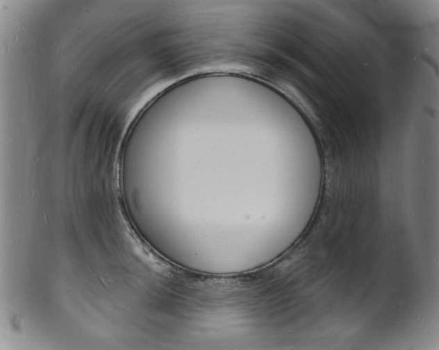 X0000101691044200807101203