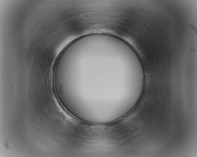 X0000101691046200807101203