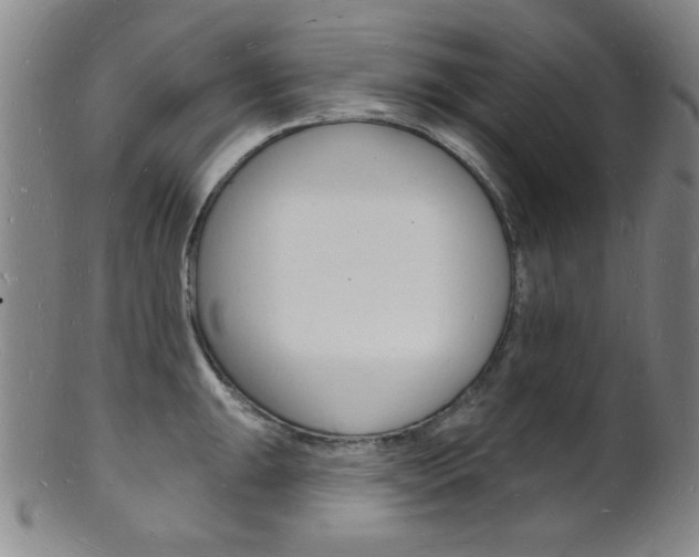X0000101691047200807101203