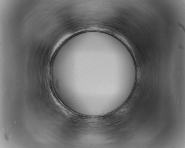X0000101691048200807101203