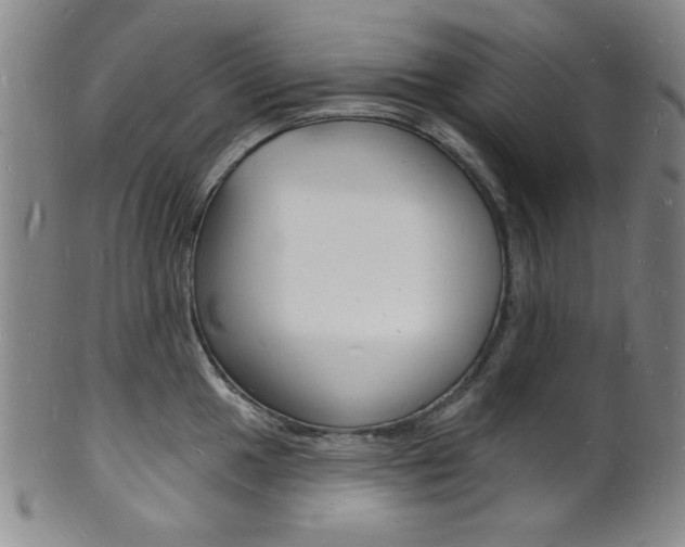 X0000101691049200807101203