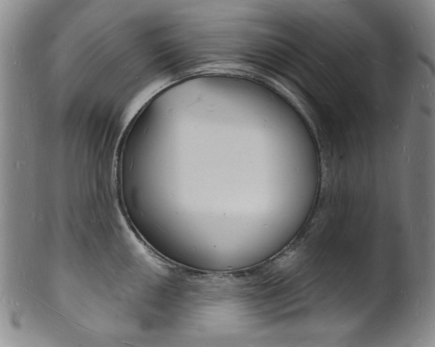 X0000101691050200807101203