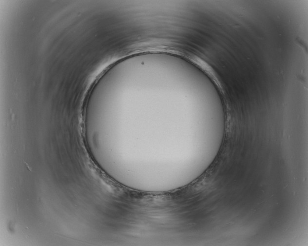 X0000101691051200807101203