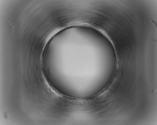 X0000101691053200807101203