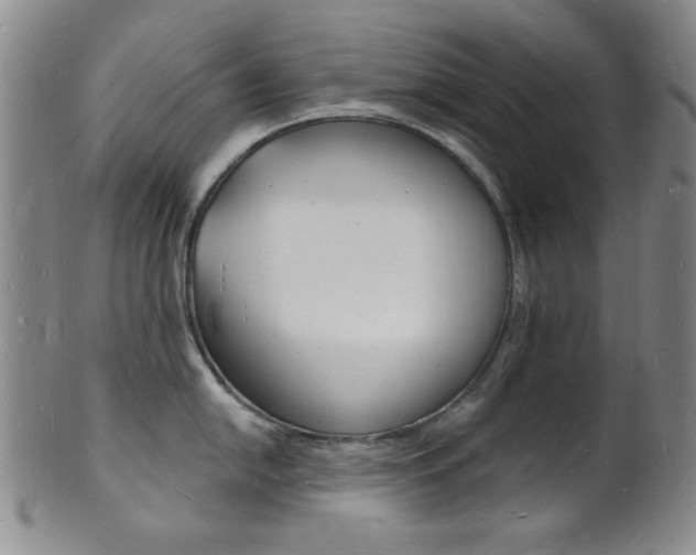 X0000101691054200807101203