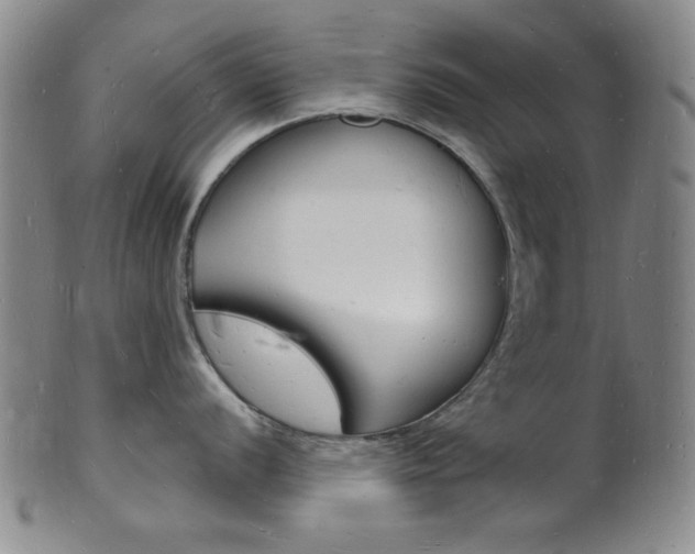 X0000101691056200807101203