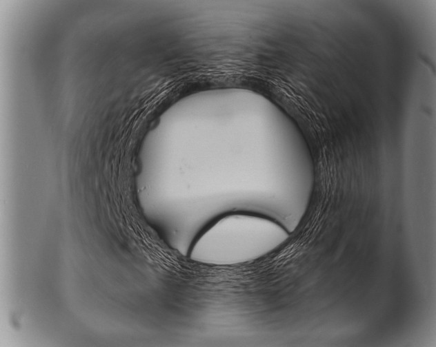 X0000101691057200807101203