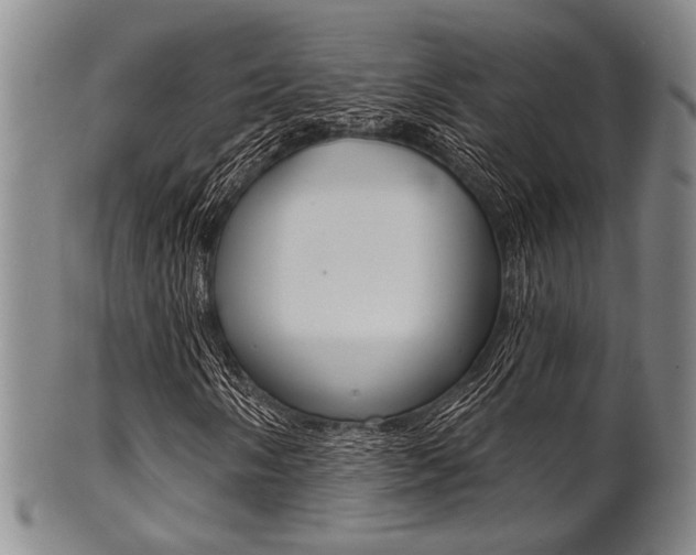 X0000101691058200807101203