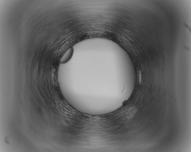 X0000101691059200807101203