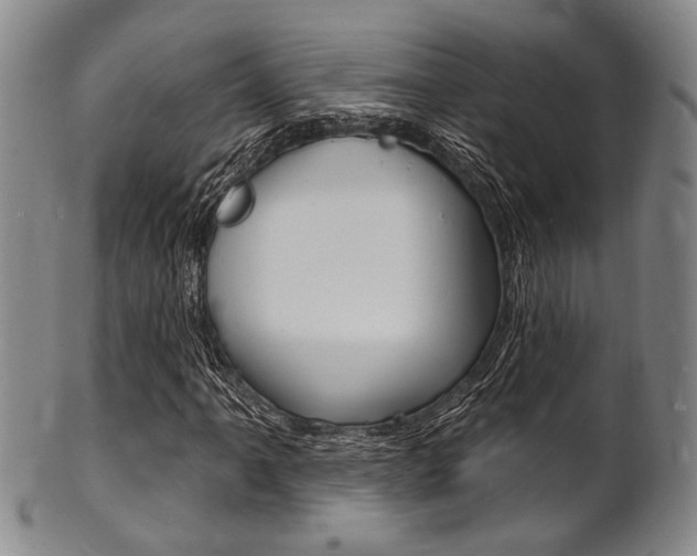 X0000101691061200807101202