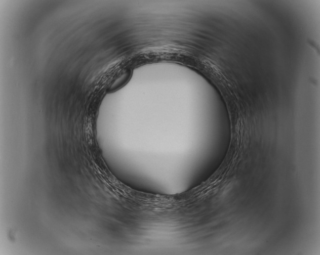 X0000101691062200807101202