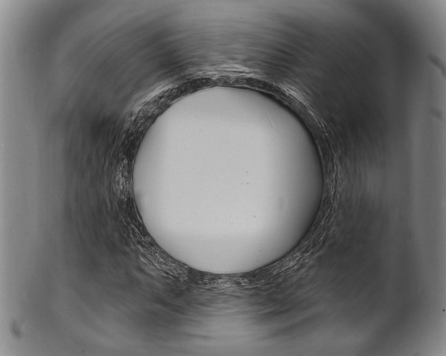 X0000101691063200807101202