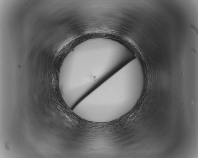 X0000101691064200807101202