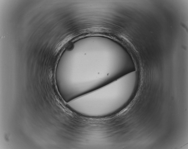 X0000101691065200807101202