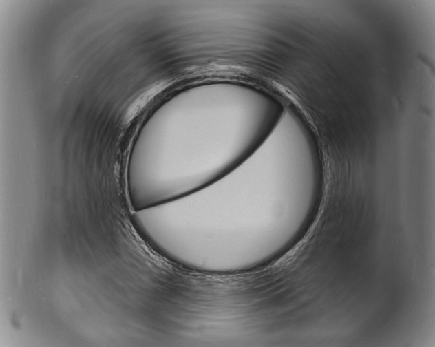 X0000101691066200807101202