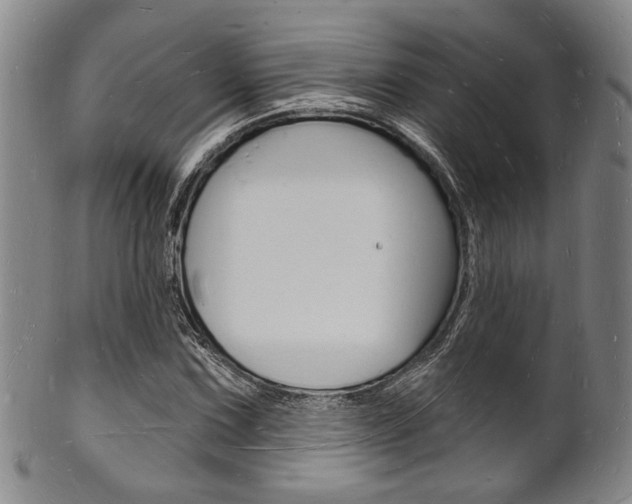X0000101691067200807101202