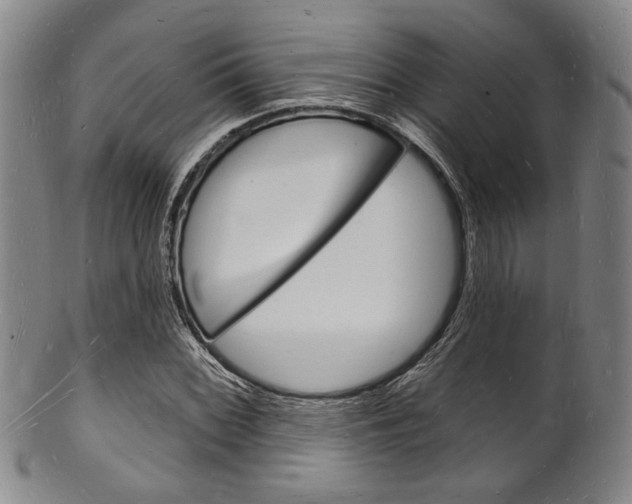X0000101691068200807101202