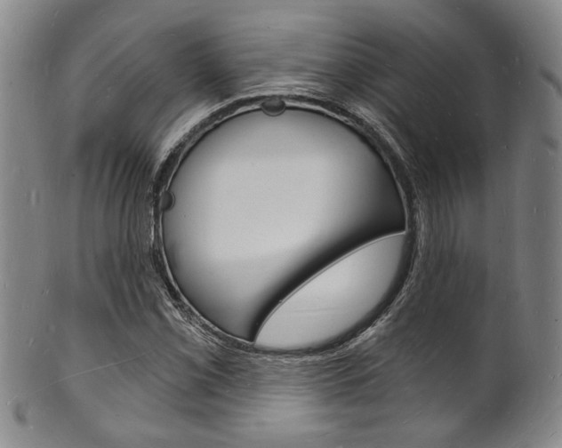 X0000101691069200807101202