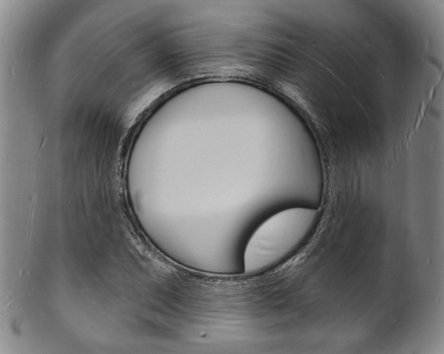 X0000101691071200807101202