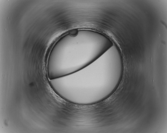 X0000101691072200807101202