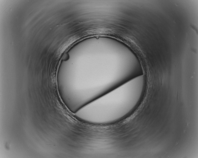 X0000101691073200807101202