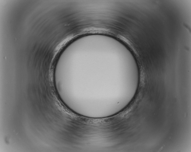 X0000101691074200807101202