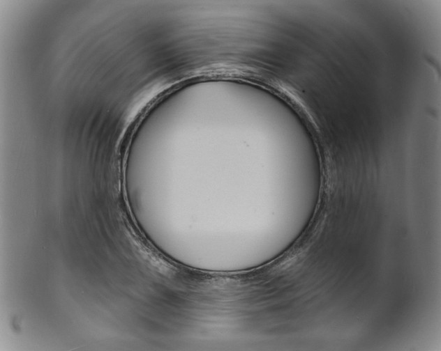 X0000101691075200807101202