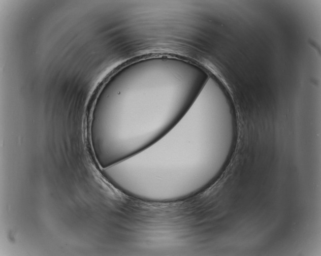 X0000101691076200807101202