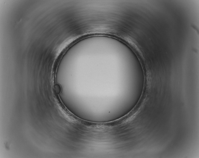 X0000101691077200807101202