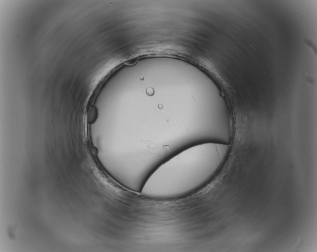 X0000101691079200807101202